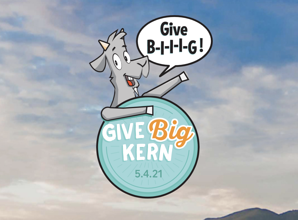 Give back to local nonprofits in Kern County's largest single-day fundraiser - Vimarsana News